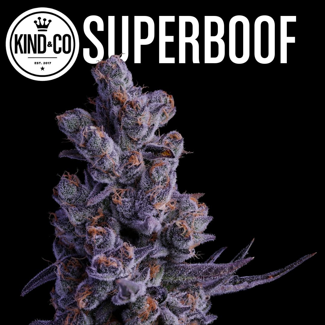 Superboof flower